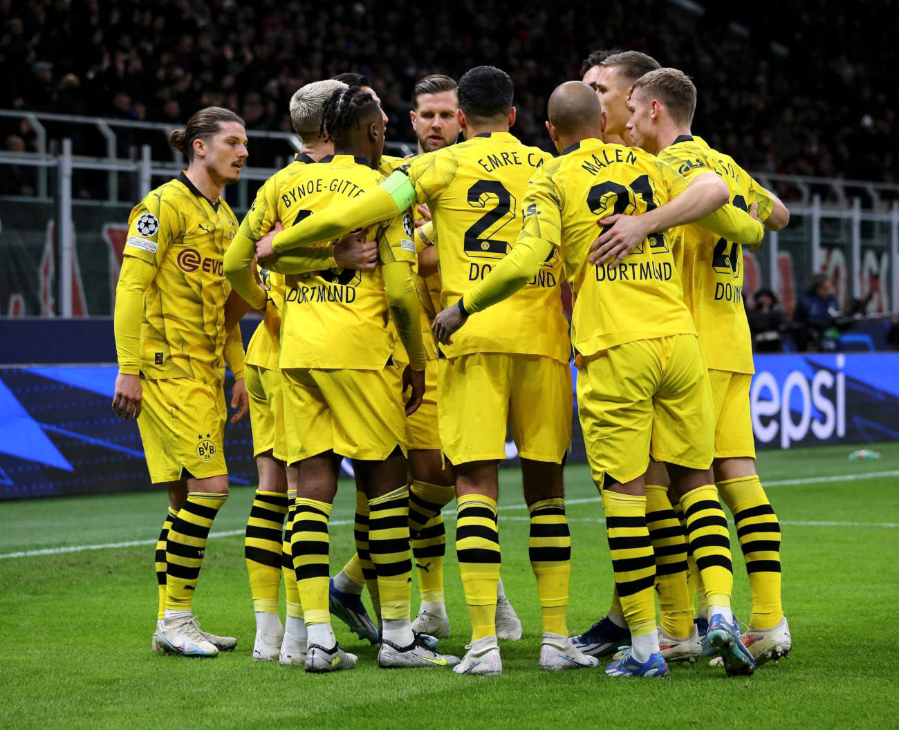 BVB Team